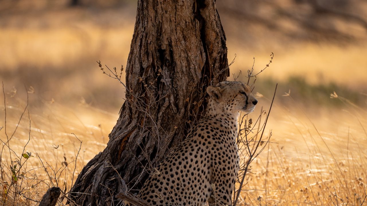 Kenia praktische reisinformatie | Matoke Tours